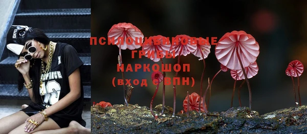гидропоника Покров